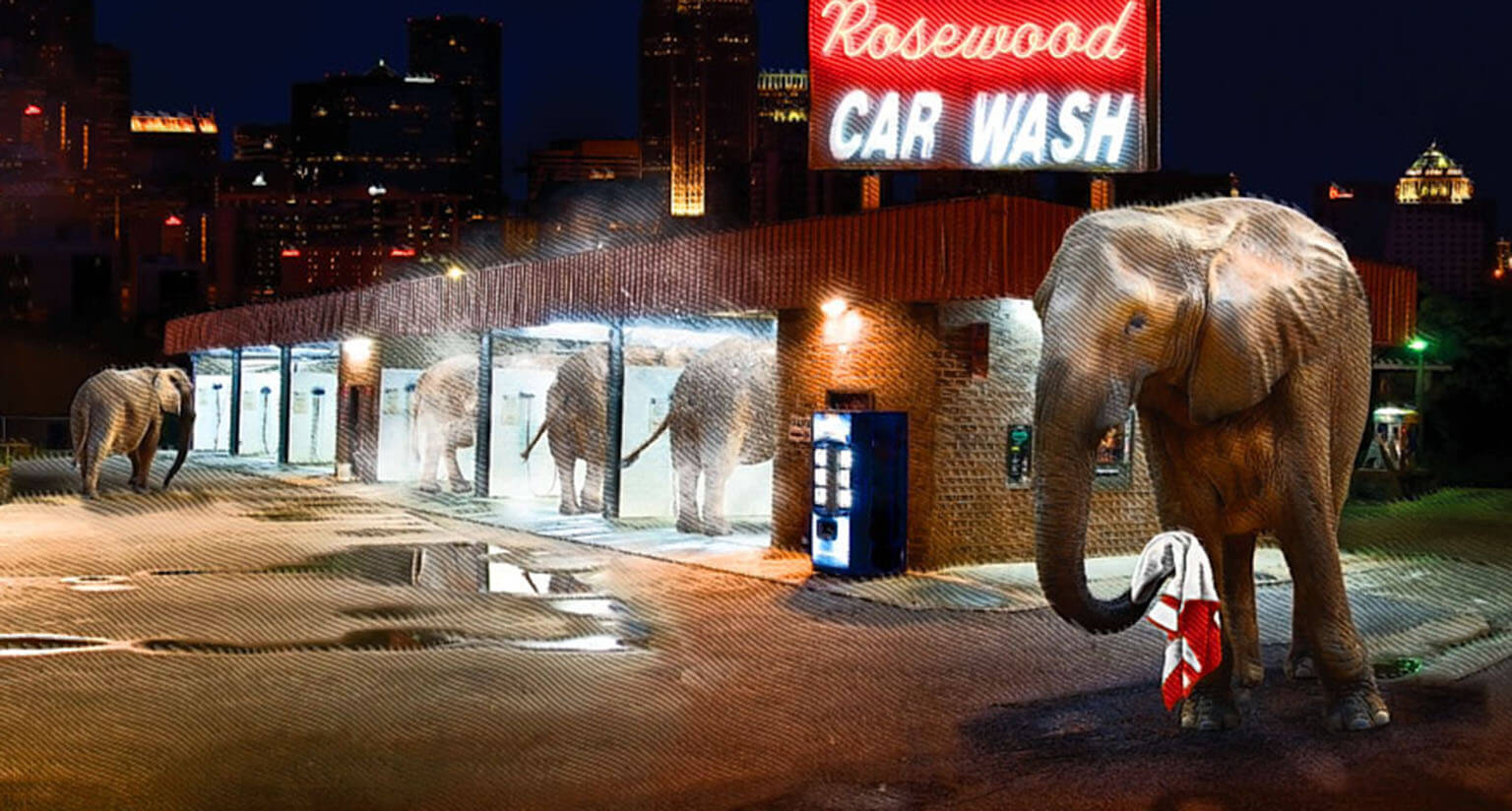 Strategic brand storytelling and data analysis for Higher Education, B2B and Healthcare